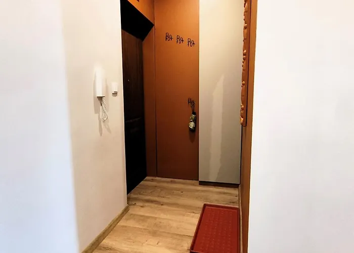 Oaza W Centrum - דירה