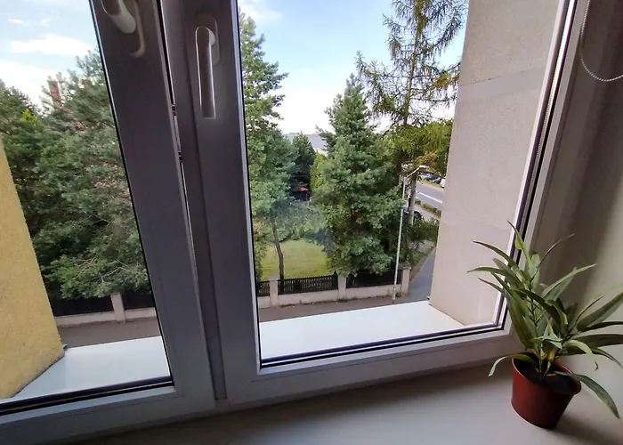 Oaza W Centrum - * טרנובסקי גאורי